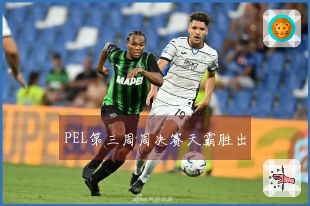 PEL第三周周决赛天霸胜出